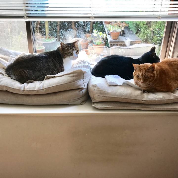 62815e0c 047b 4b6c 8f86 b25b5a277edf