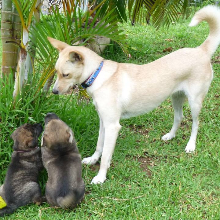 62819df6 83d5 4a1f 8d93 b4b80823fcba