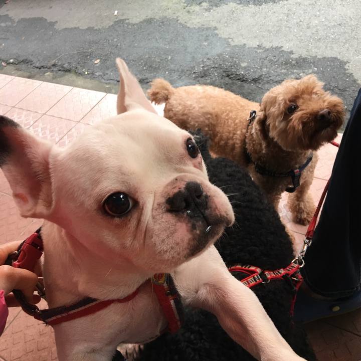 6281e3cd bc9e 428b a7c0 5741269b25c8