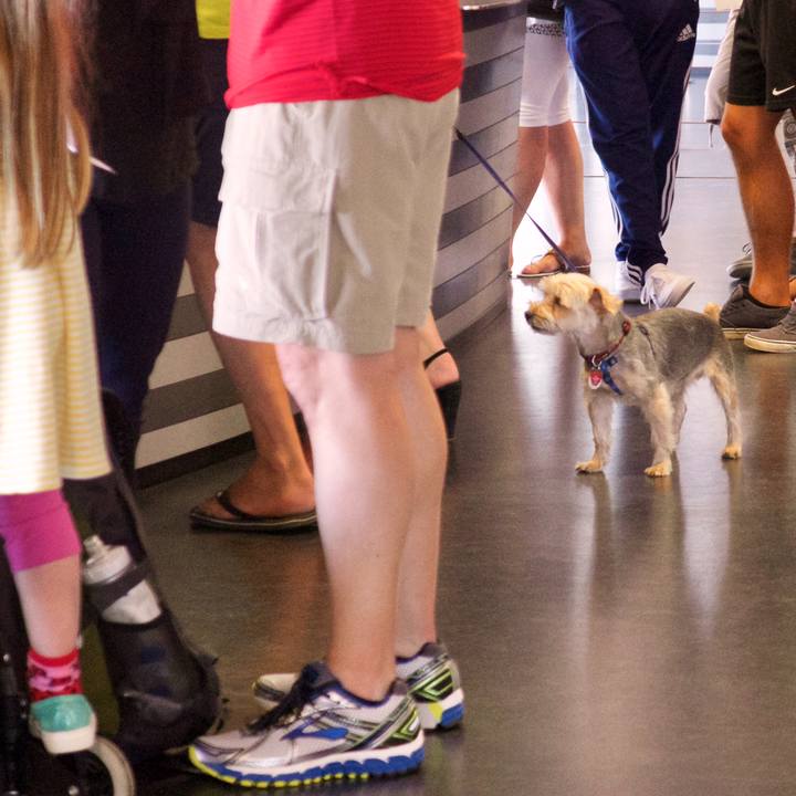 62822e72 19c7 459a 8c8e 49c7be3aadd6