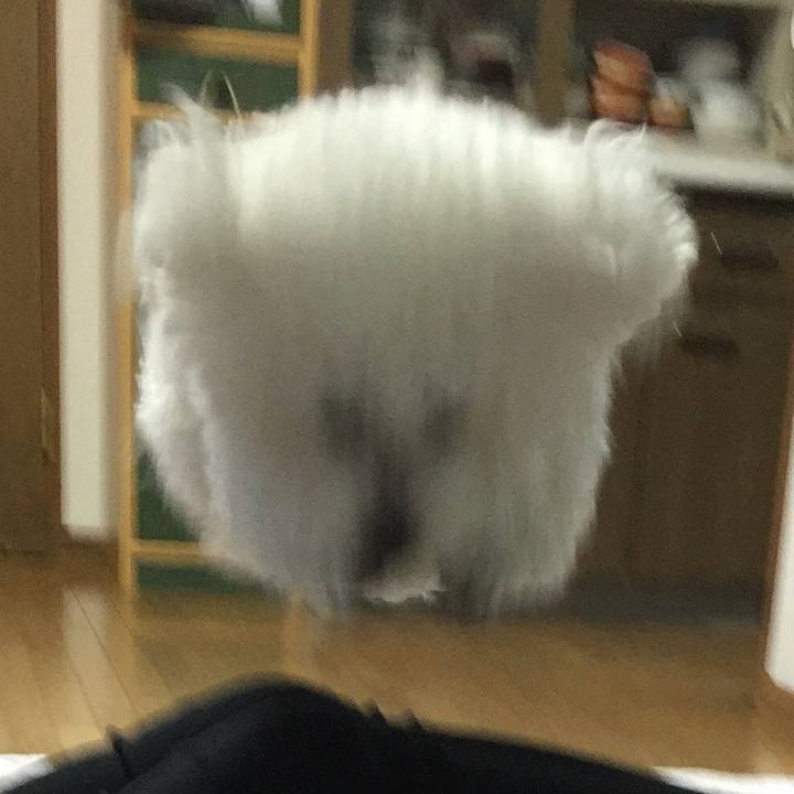 628238ca bbb1 4b59 922f c568662c075e