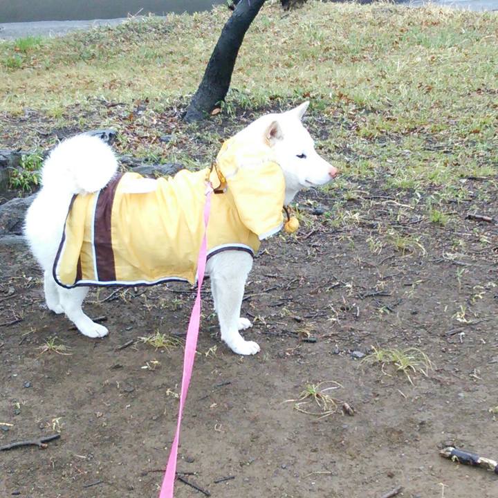 62825c57 dca9 4156 b12f 8659af86e91f