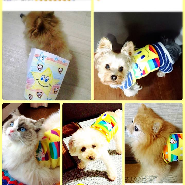 62826636 490c 488a bfd1 471c45504ebe