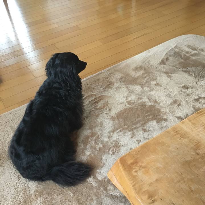 62828903 a1df 4855 9999 2aaff8613cae