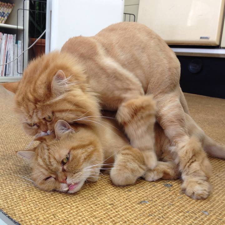 628291eb 539f 45fe a4d0 3acfb7108355