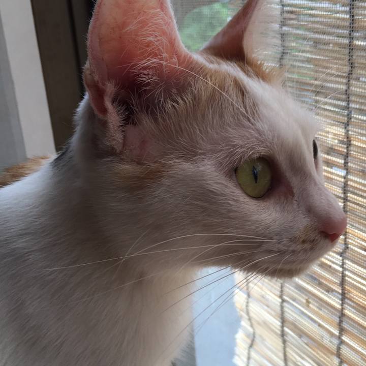 62832d49 3979 431a b96a 8ffff0186211