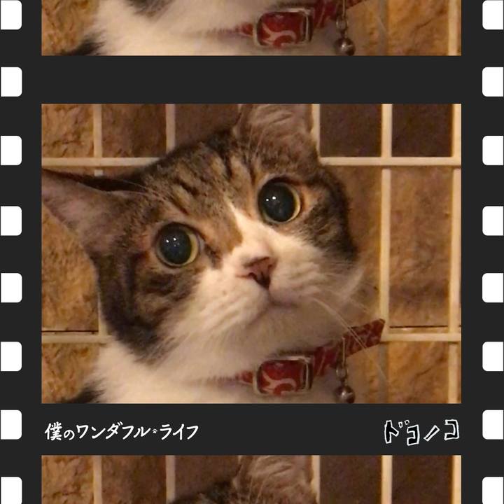 62840654 3d30 4bd0 920f bb965ef0a4b8