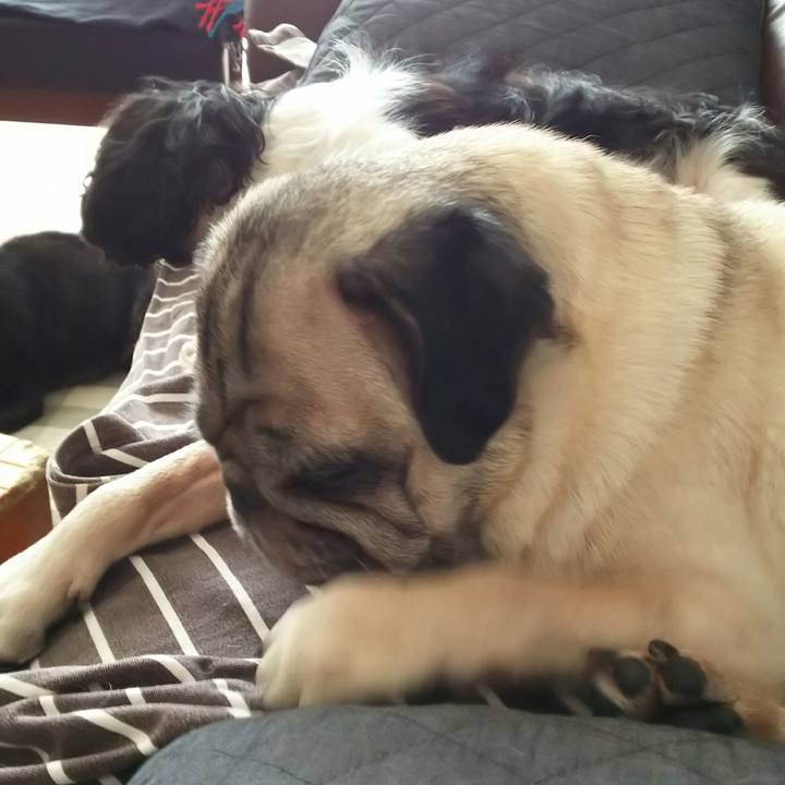 6284684c 7ea0 4516 9c06 08aba674a81c