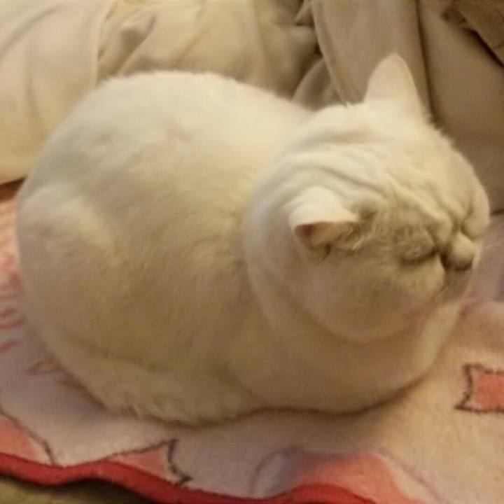 62847b88 e87f 4fe1 bde3 a3f10d975b37