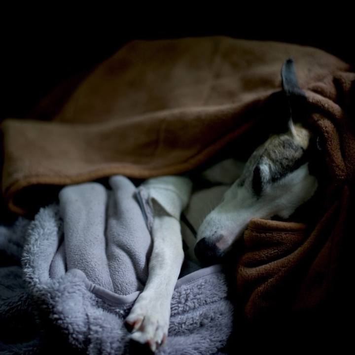 6284b5ec 2564 4421 89f4 c3a756be9ef2