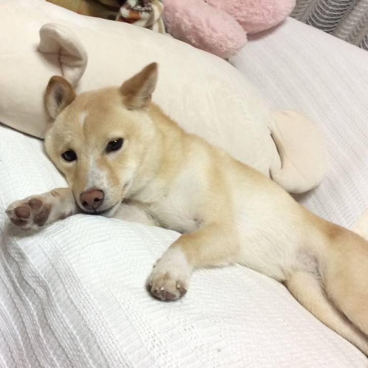 62854d1e fb47 4f22 8360 8d99c9f80afc