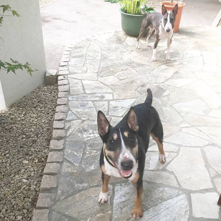 6285710d 4816 453b ab77 8d069c7dcde3