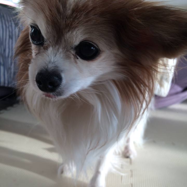 6285f0fa e638 404a 9037 67a988ee0ab3