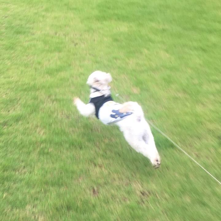 62861ea3 0153 4fa8 82b0 1674e85cdd71