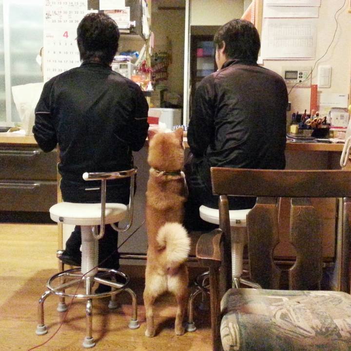 62862a84 e752 49c6 826f abfef7f334f3