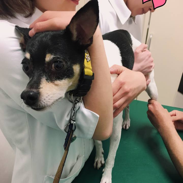 6286b855 c238 47c8 a91d 6875c62be63d