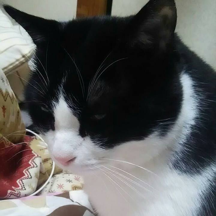 6286d903 03b5 4f52 8687 f3dcfa910d93