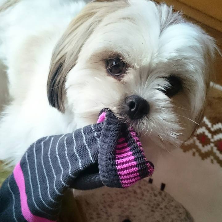 6287a746 39f9 4351 8d9c 3a561ffb72e5