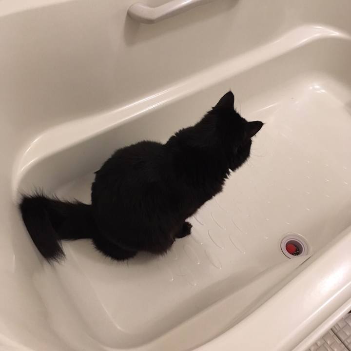 628833a0 7373 4a7b a81f f4dc0e60dd09