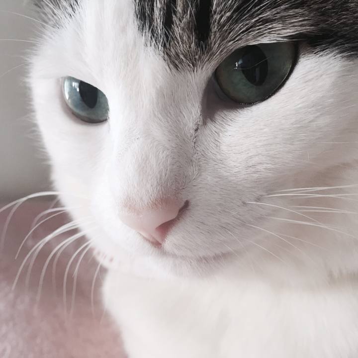 6288381e 3585 47fa a89f 3f8564dff545