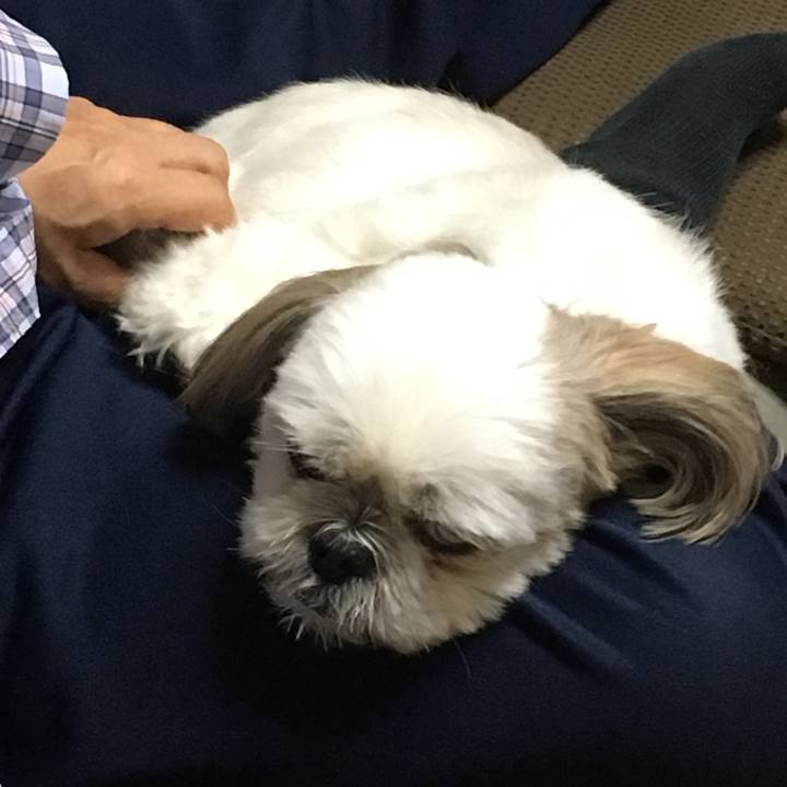 62885224 fffe 43d0 a12d ccf33077487e