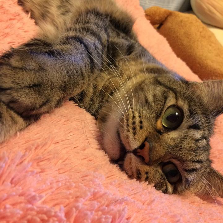 62885617 a80a 4d34 872b ac0108842aa9