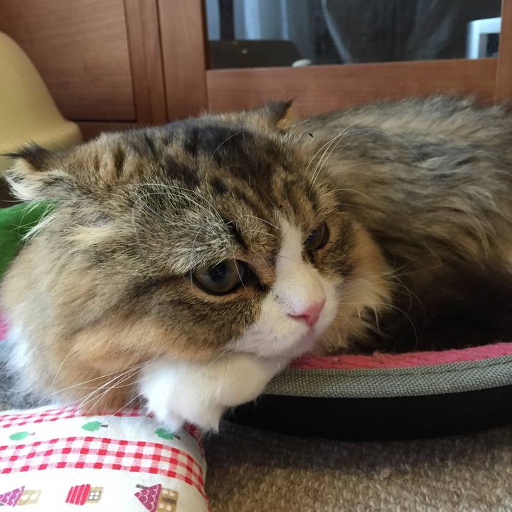 6288a618 148a 497d b69c 13beb303a018