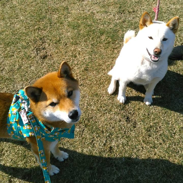 6288cb85 be76 4b98 9eb7 f709b0ed986e