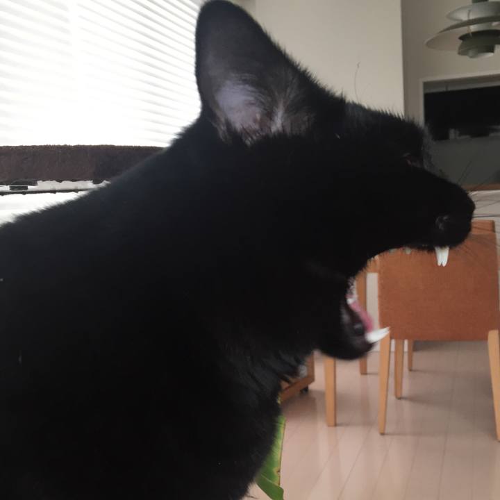 6288d9f2 13a6 4118 9996 88e3348d0c00