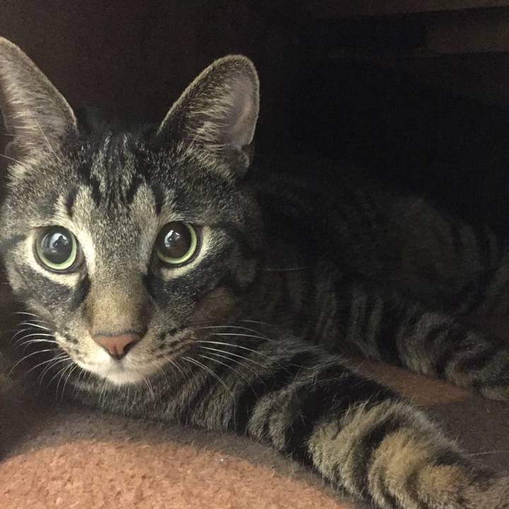 6288dac9 07ba 490f ab06 8a3f69594235