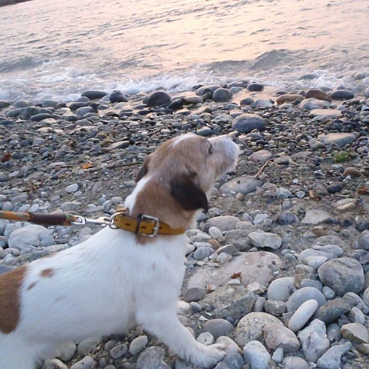 6288f4f5 0178 4eed b53c dd1cb426b481