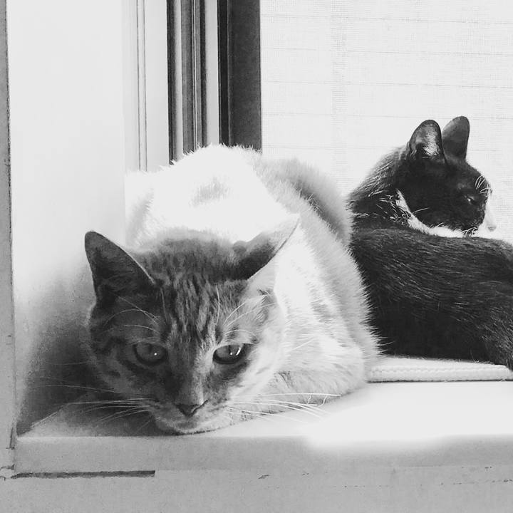 62899632 a392 4b0c 95e4 c606629850d3