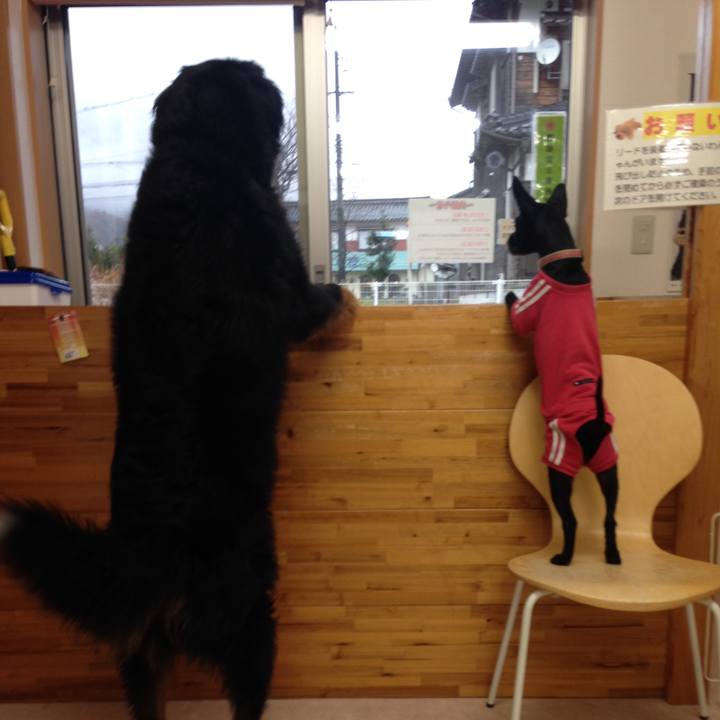 628ae281 6fa5 4f5a b9c2 f044216de030