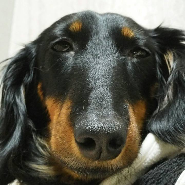 628b8937 3c9a 4fc1 b926 1a8059b749dd