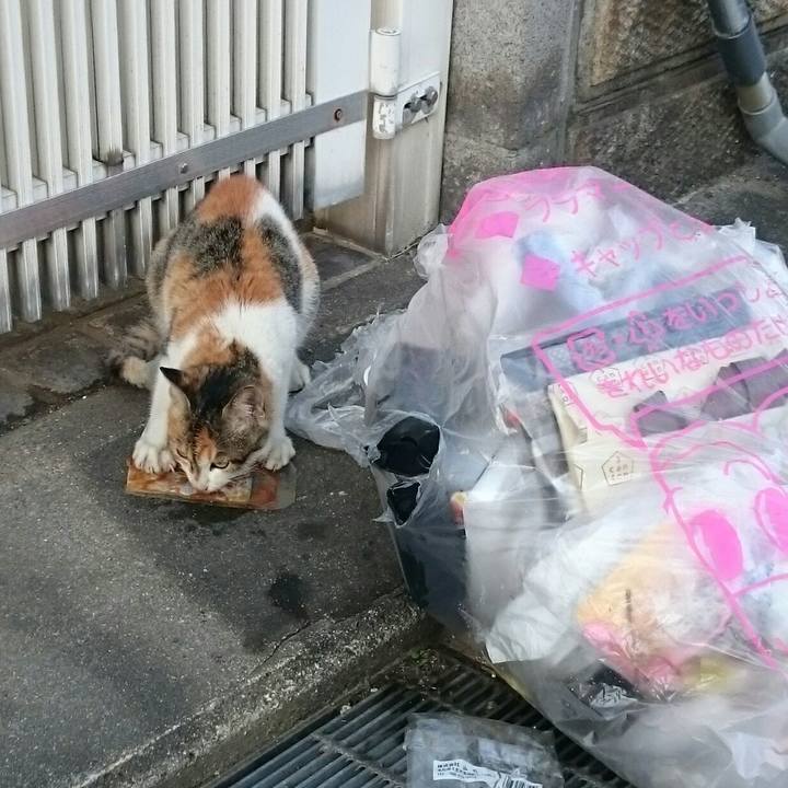 628bb90c d3cf 411e a1c1 d633e3c6820d