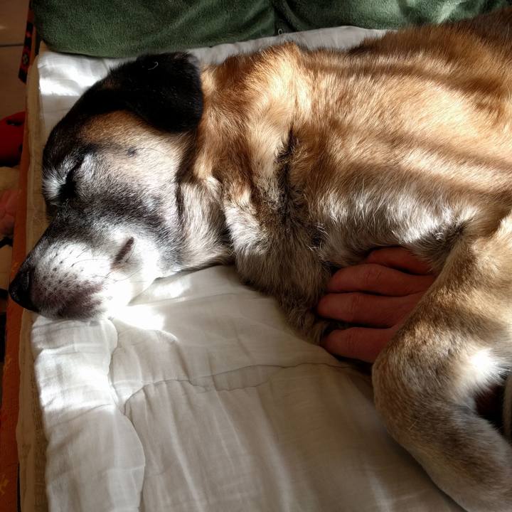 628d0fa8 de3c 4b47 b123 bd12df7b3900