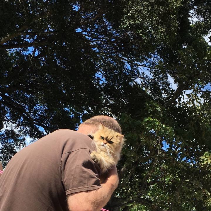 628db6f3 cc22 488c 9cf4 f78074e98e9e