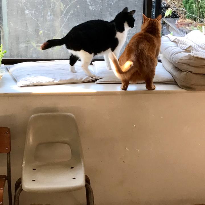 628dd035 f5f5 42bc 848c 0fc0f916ccde