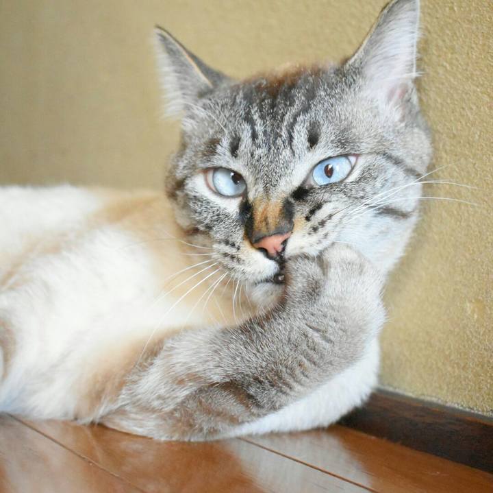 628dd3b9 6dd2 49f8 bc07 73149f1fca1a