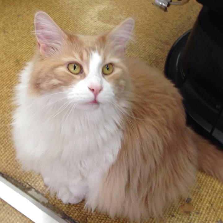 628ddfab 792a 4616 a482 5c90242dbb33