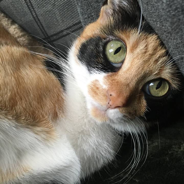 628dfb24 50c9 4a69 89b6 cce30e8e9ef5