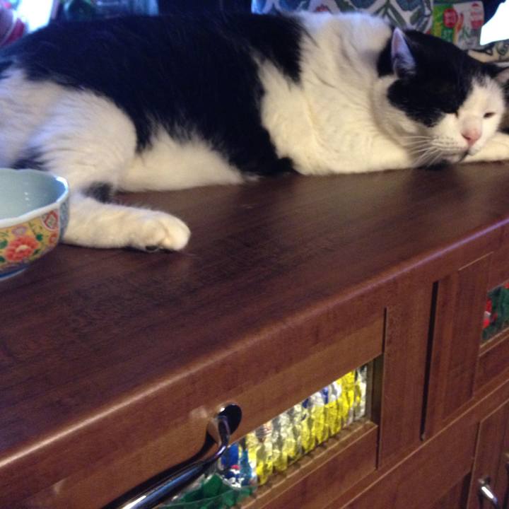 628e03ac f970 490e bd89 41301c9537fe