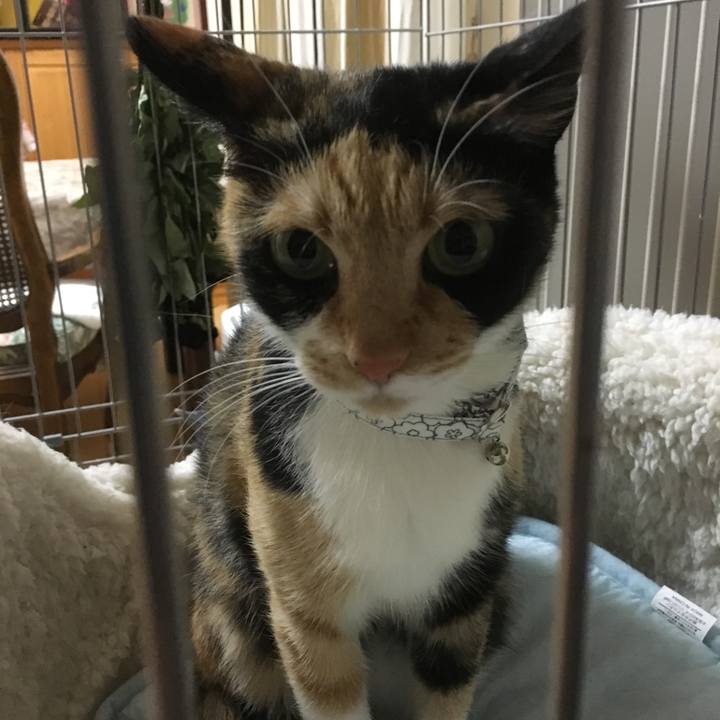 628e7def bff3 4d27 aa8b 0cc289ea573f