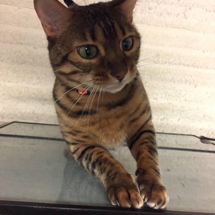 628e82bc b9b0 45fe 8fd1 c85960ced56a