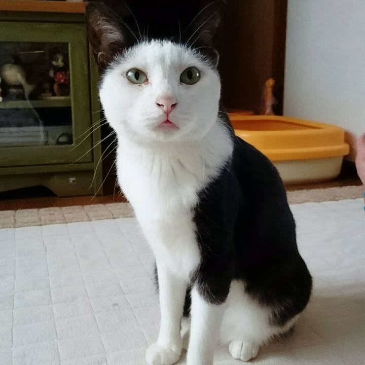 628eba12 f806 416d a1c5 0a2f64558e22