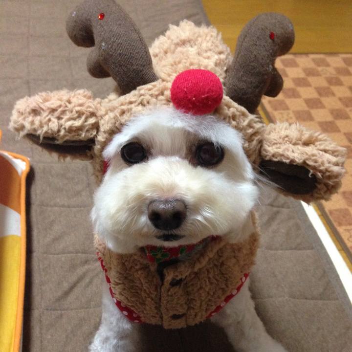 628ed9c3 ba03 4434 bb0e 5fc9ac50c63e