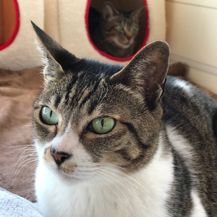 628fbe43 f5a1 434e bbe0 b7e362e25261