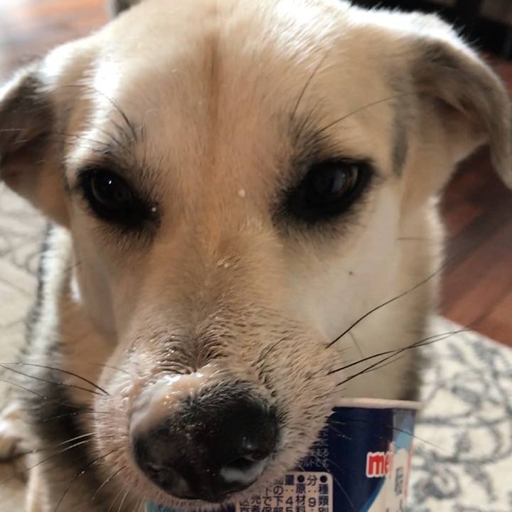 628fde46 494a 47c7 b10c 79f817f08710