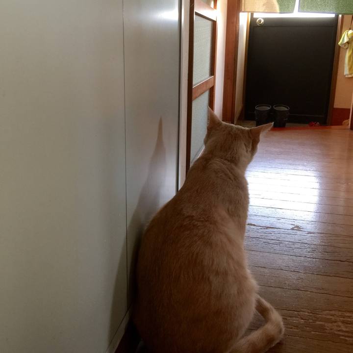 62901527 efee 4c6c b86a c38595d9e497