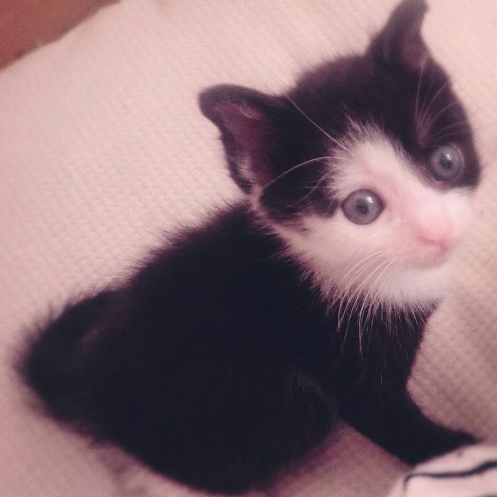 6290a136 b64f 45b2 846e 105260c18a36